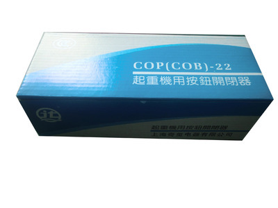 【ROMUON牌 COP-21R 220V 防雨型 起重機(jī)吊車按鈕開關(guān)【不帶電容】】價(jià)格,廠家,圖片,電工開關(guān),溫州奇璽電器科技-
