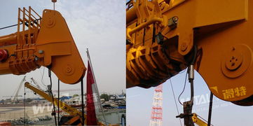 微特以卓越品質贏得中東客戶青睞，起重機產品揚帆海外市場